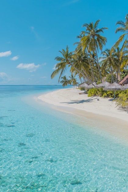 Curated Travel Deals for Your Next Trip